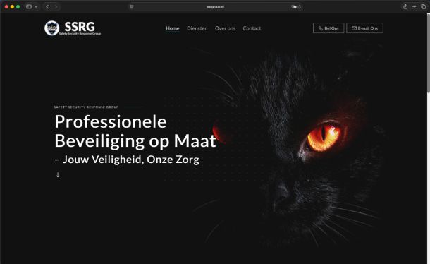 Ghekko Website Design: SSR Group