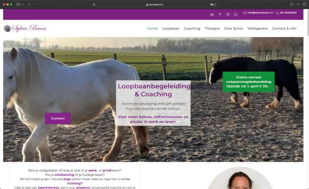 Ghekko Website Design: Sylvia Baars