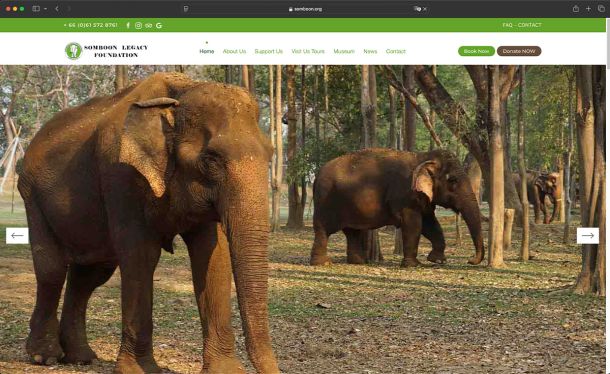 Ghekko Website Design: Somboon Legacy Foundation